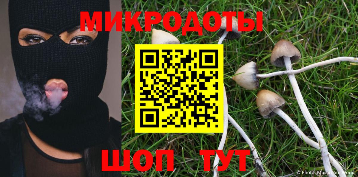Галлюциногенные грибы GOLDEN TEACHER Каспийск